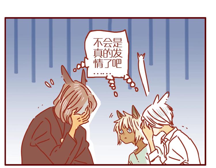 第17话 这猫不得了19