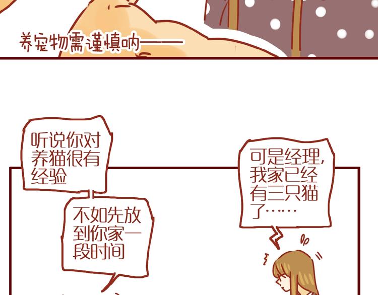 第17话 这猫不得了46