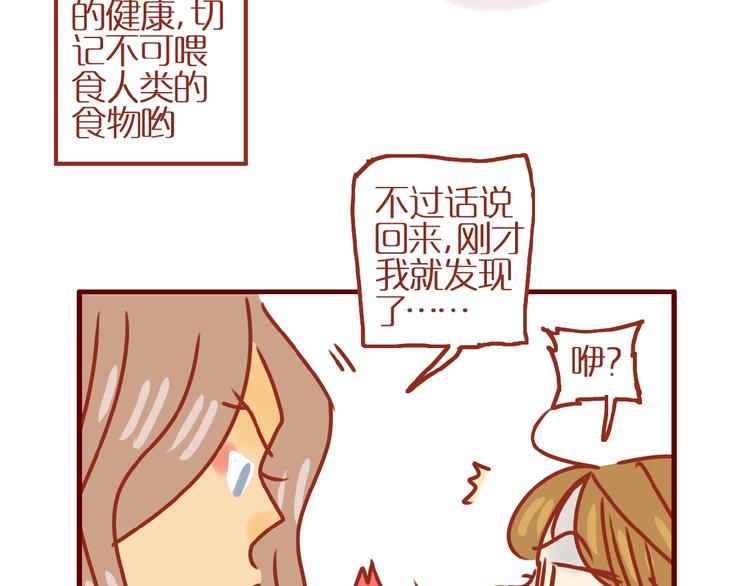 第9话 拒绝过度吸猫60