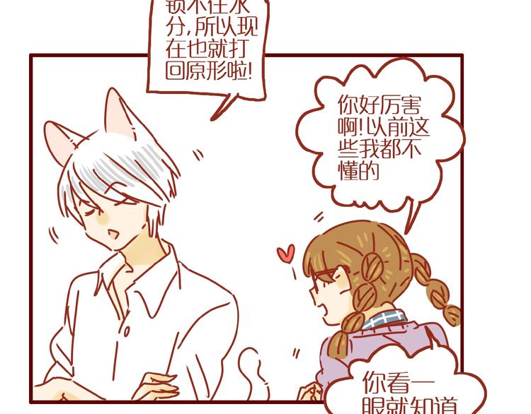 第3话 猫咪是护肤高手106
