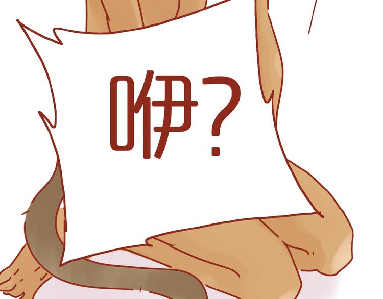 第14话  又有新猫啦！85