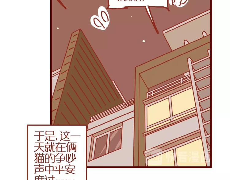 第14话  又有新猫啦！17