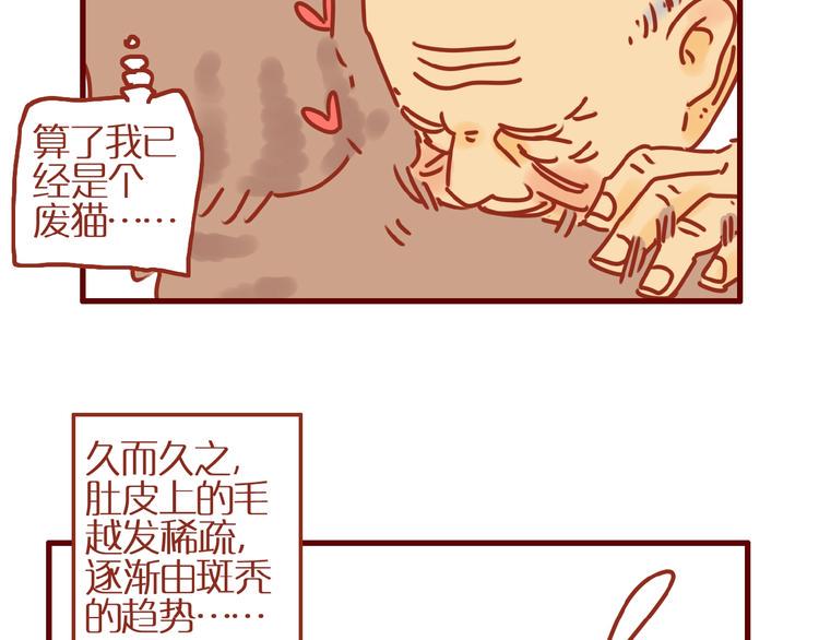 第9话 拒绝过度吸猫32