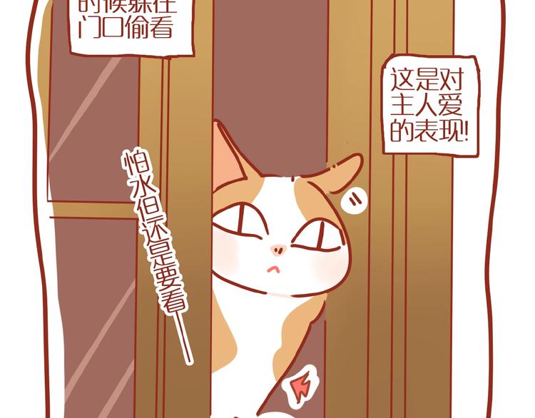 番外  怕水的猫咪9