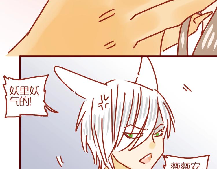 第17话 这猫不得了93