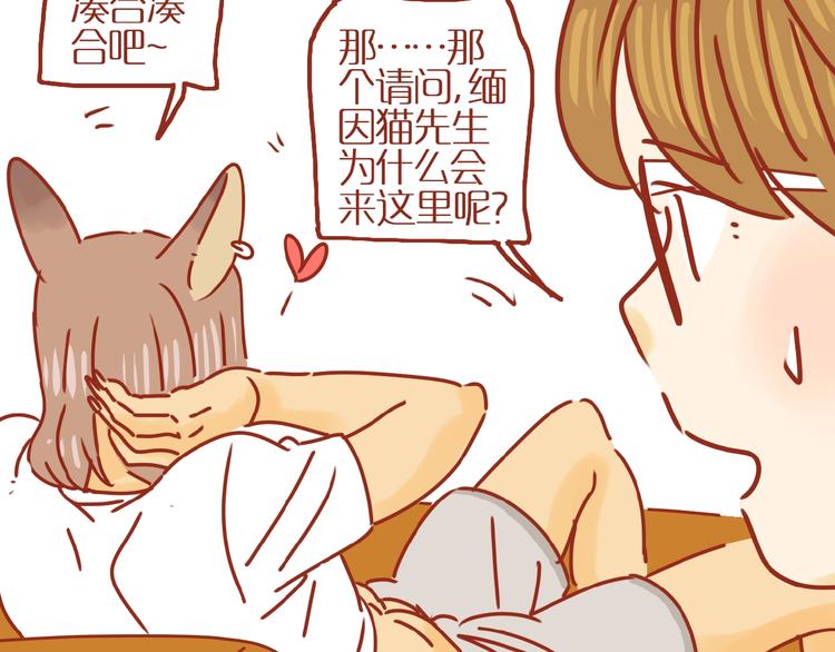 第8话 新猫旧猫82