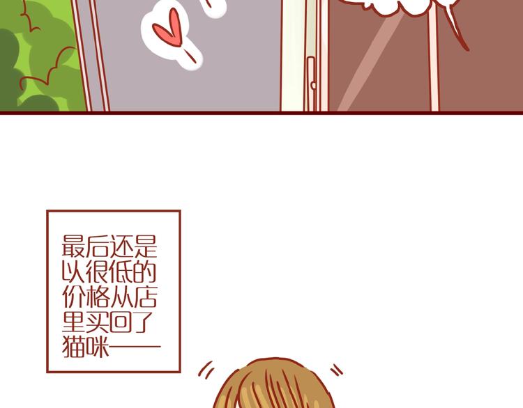 第14话  又有新猫啦！60