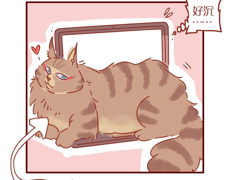 第13话 猫咪争宠6