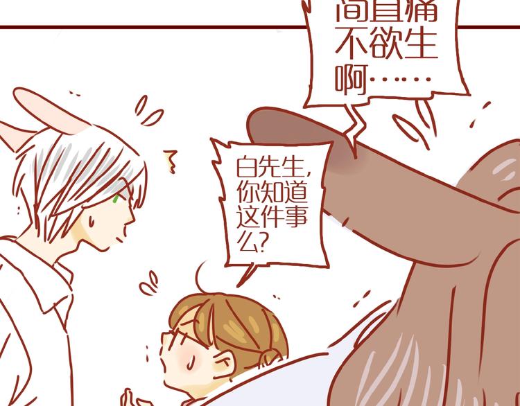 第9话 拒绝过度吸猫17