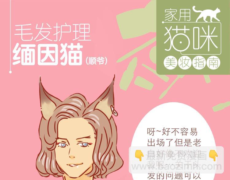 第8话 新猫旧猫90