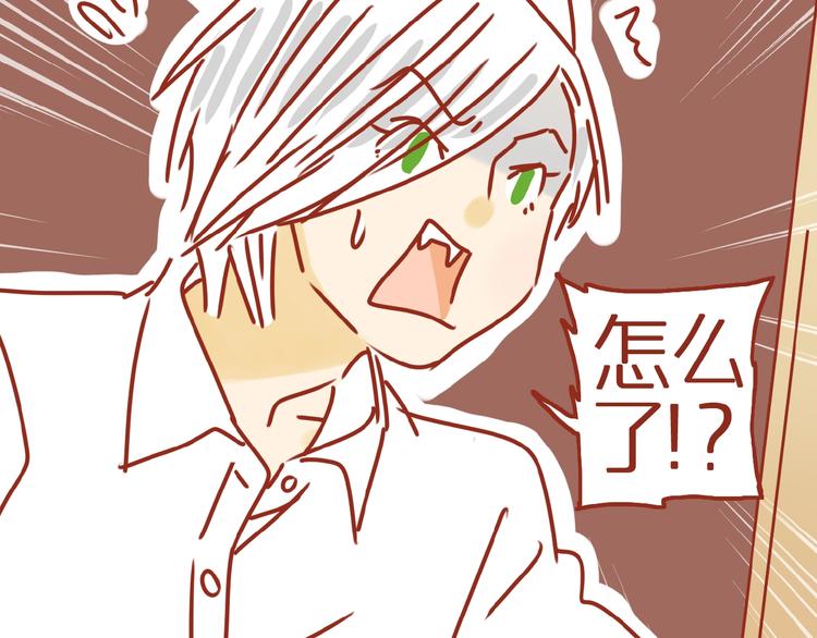 第8话 新猫旧猫6
