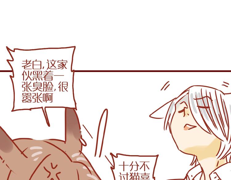 第14话  又有新猫啦！74