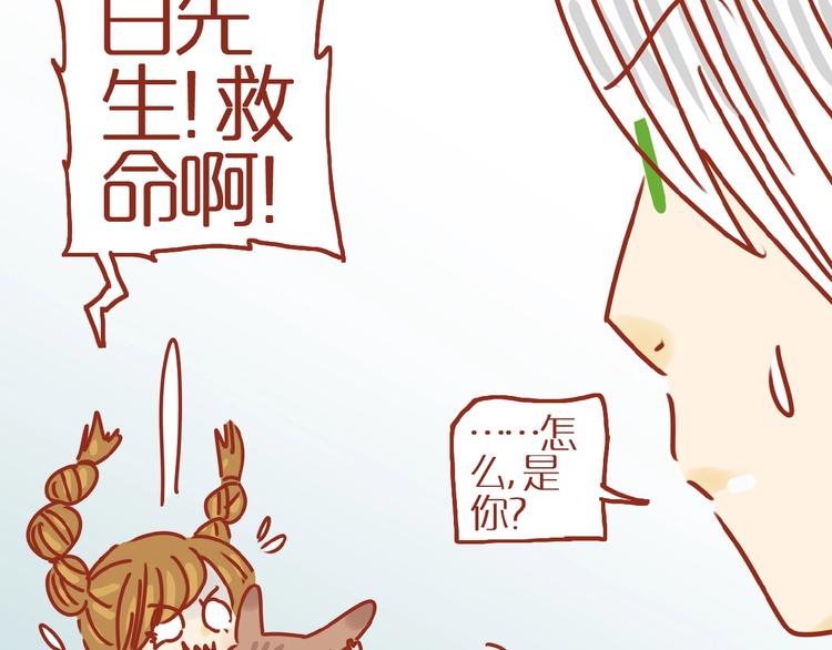第8话 新猫旧猫8