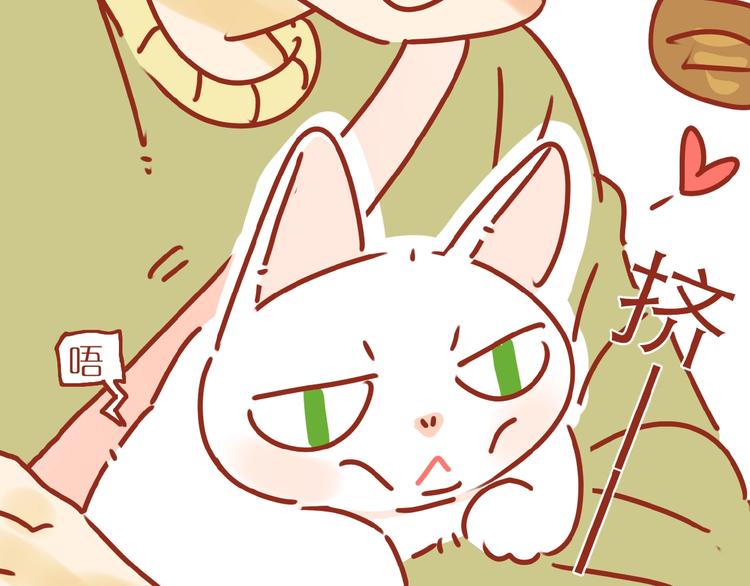 第6话 猫咪帮忙买买买51