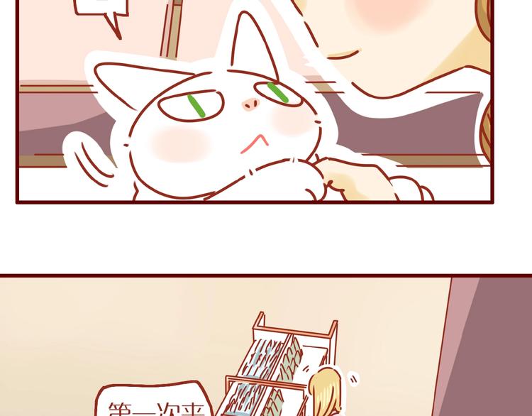 第6话 猫咪帮忙买买买58
