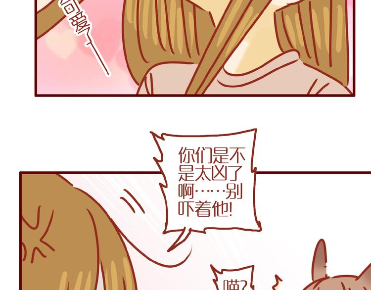 第14话  又有新猫啦！89