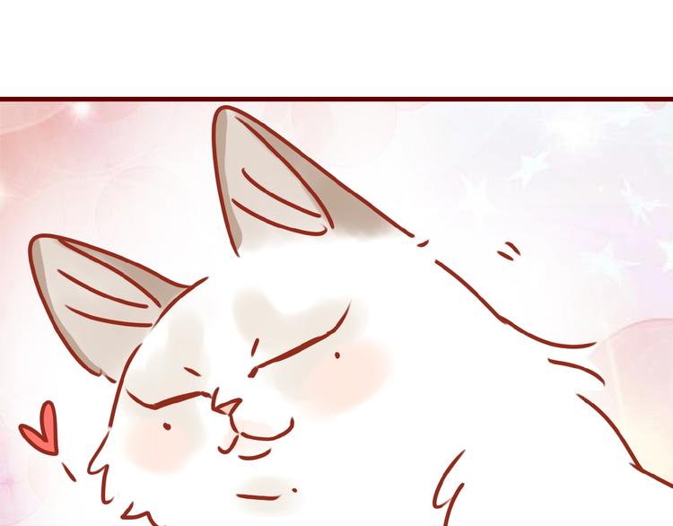 第17话 这猫不得了59