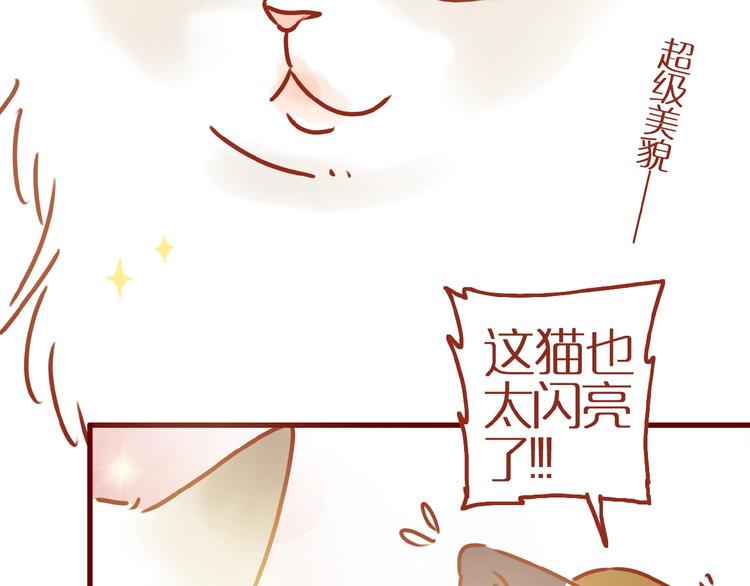 第17话 这猫不得了54