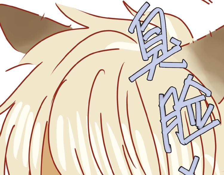 第14话  又有新猫啦！93