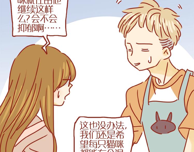 第14话  又有新猫啦！52