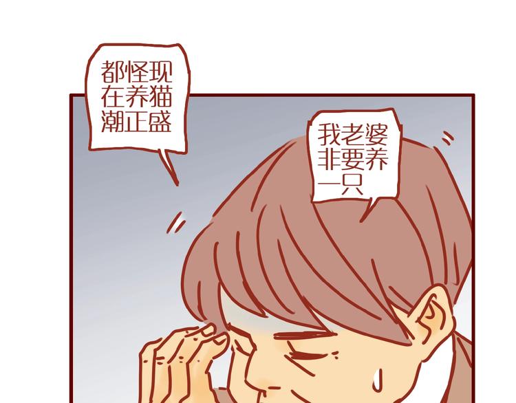 第17话 这猫不得了43