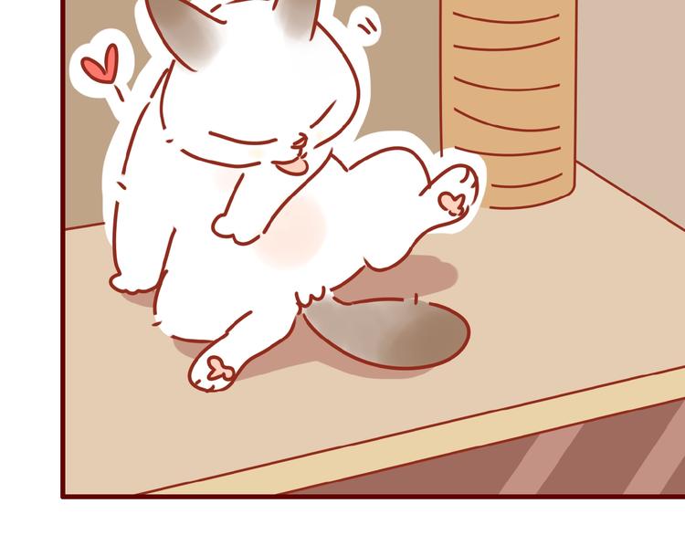 第14话  又有新猫啦！34