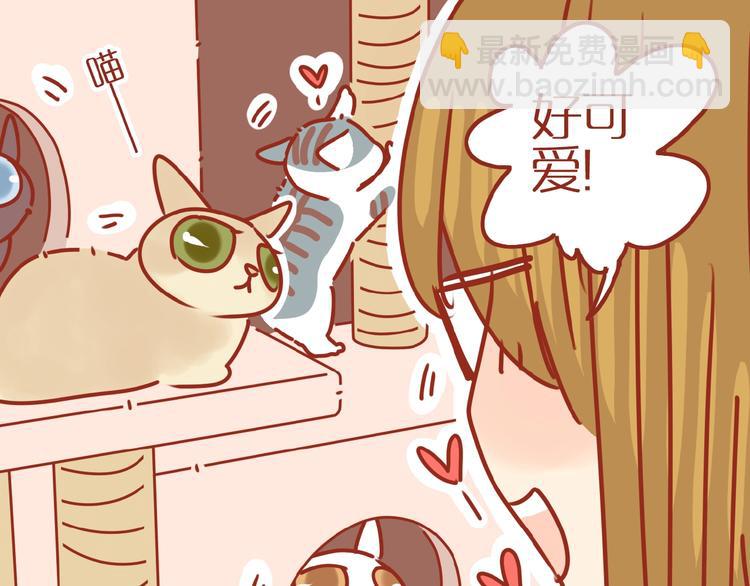第14话  又有新猫啦！29