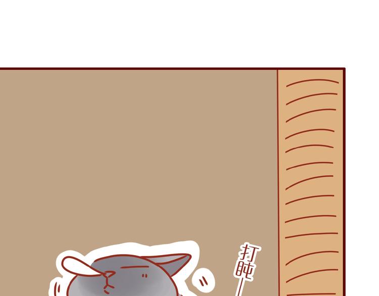 第14话  又有新猫啦！32