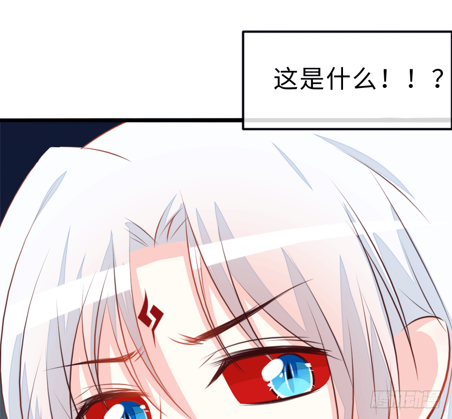 这是一趟去幼儿园的车5
