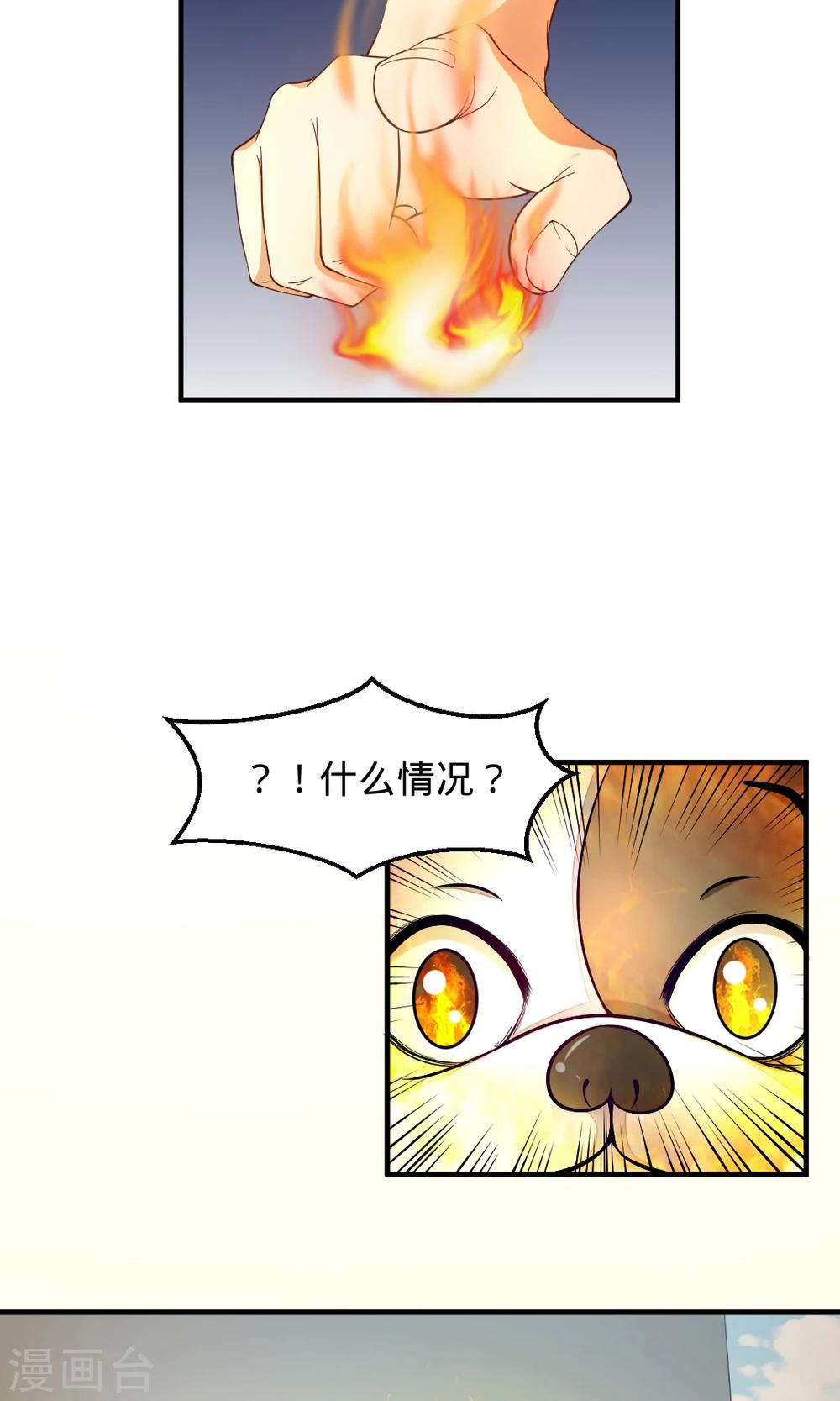 第17话 我来保护信义6