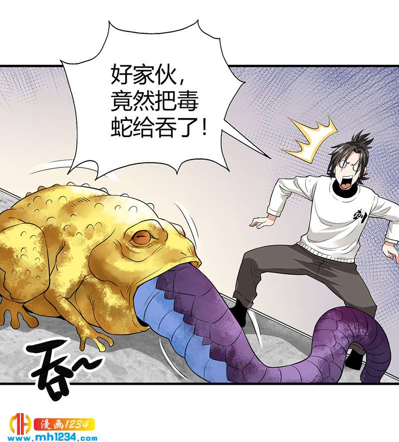 第35话 我是他师父32