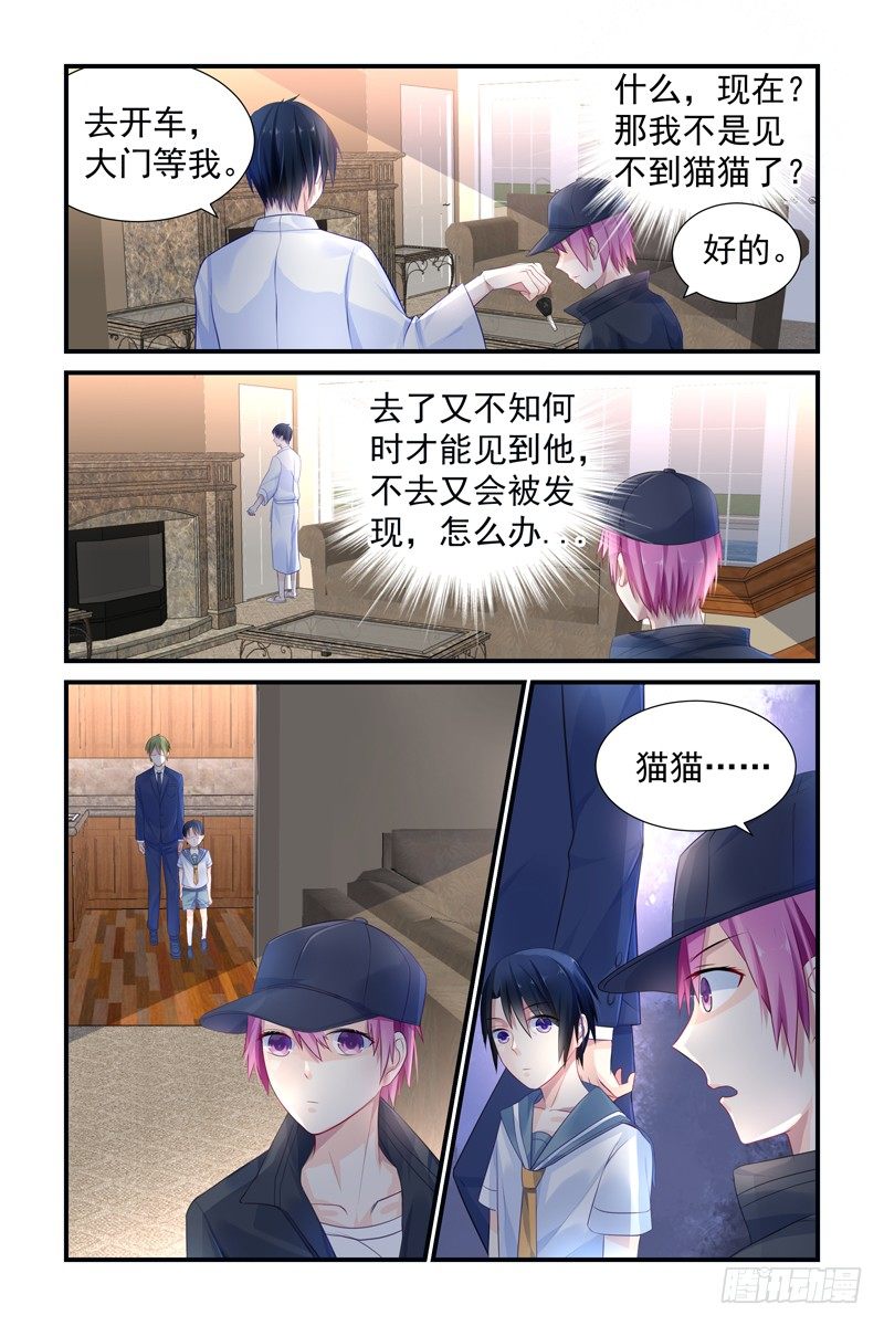 新来的司机7