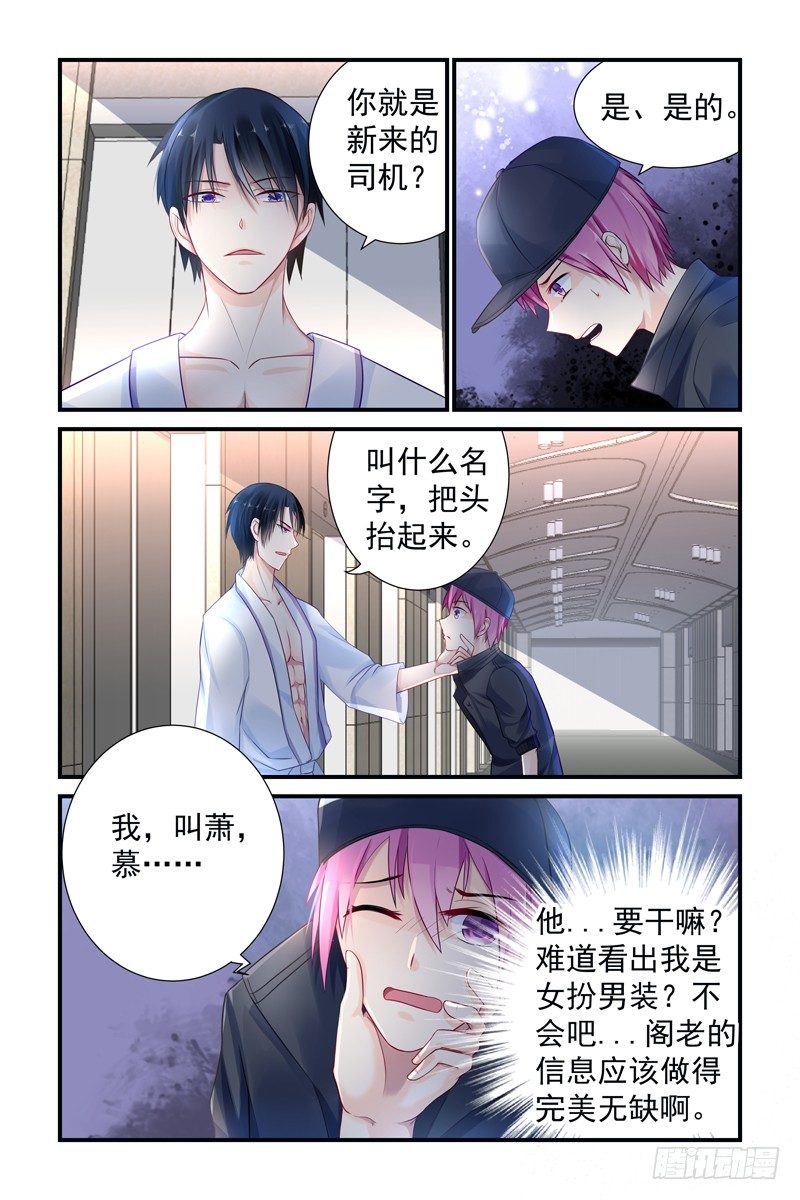 新来的司机4