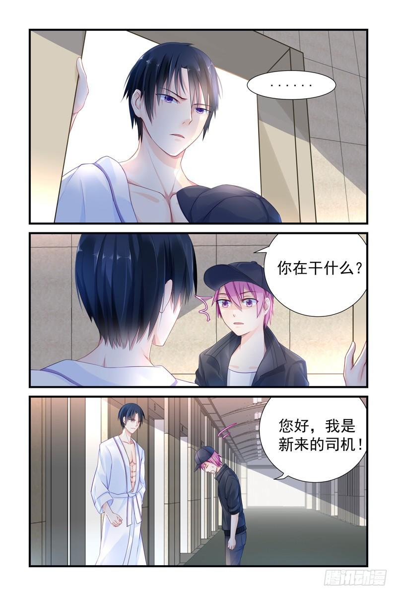 新来的司机3