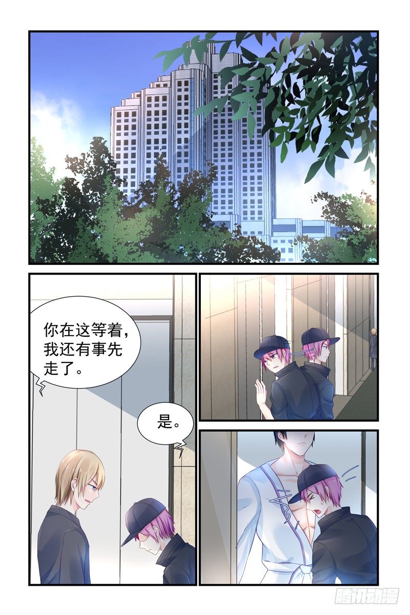 新来的司机2