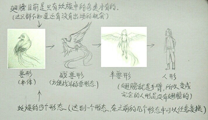 番外·关于翅膀3