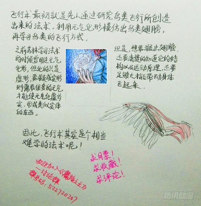 番外·关于翅膀4