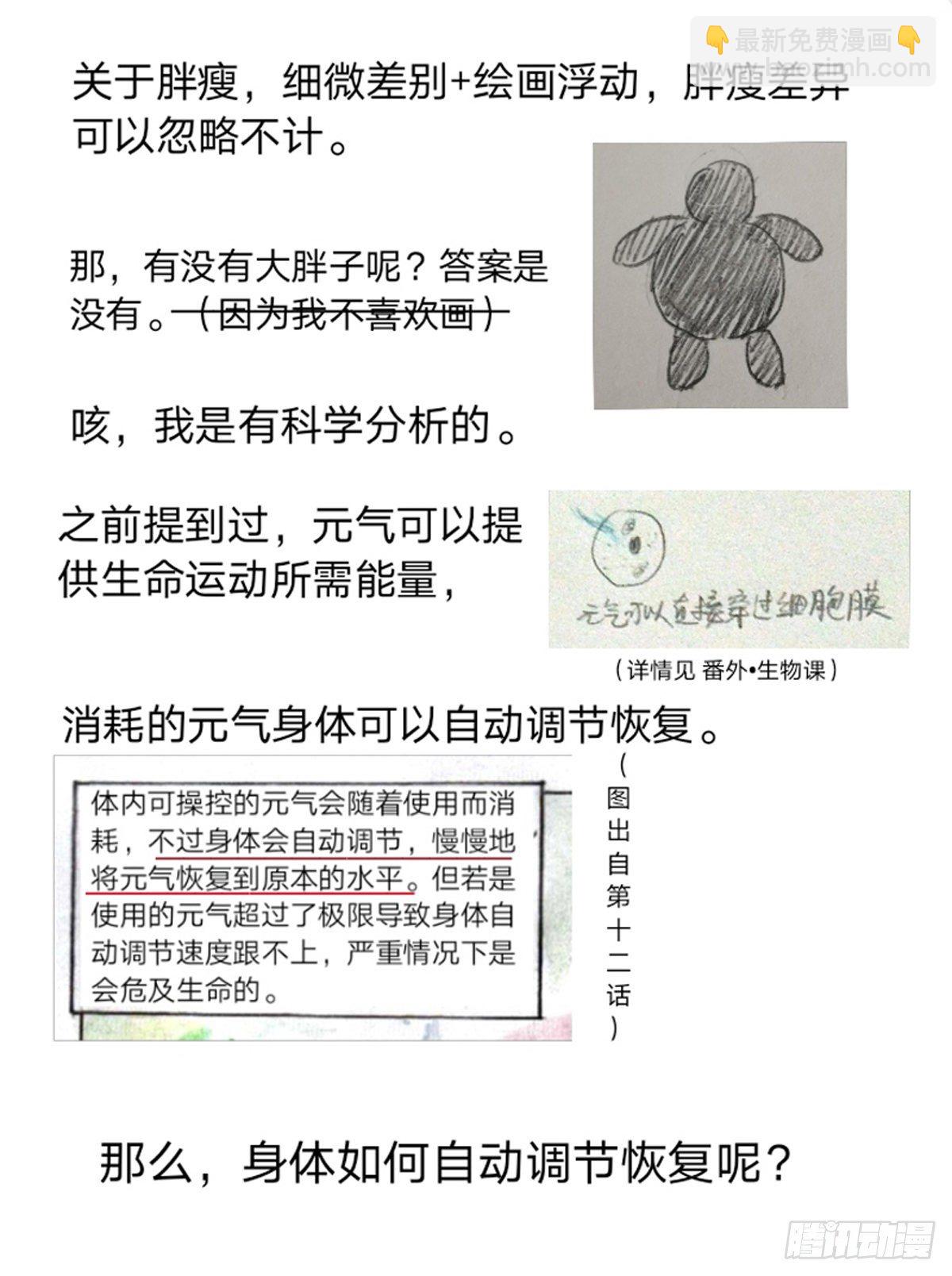 番外·关于胖瘦美丑2