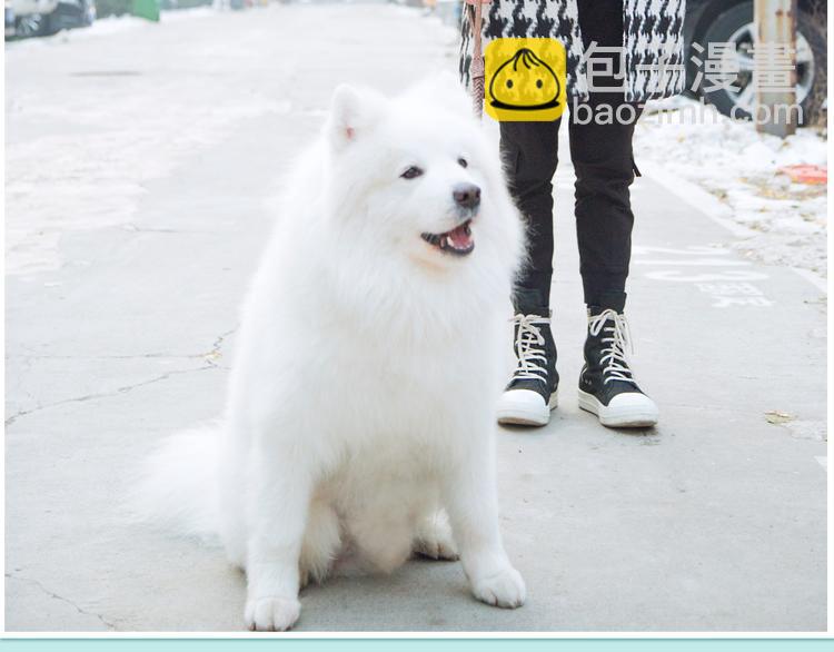 张思帆：“和我一起散步好吗？”26