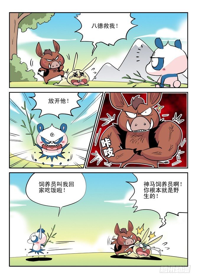 第29回11