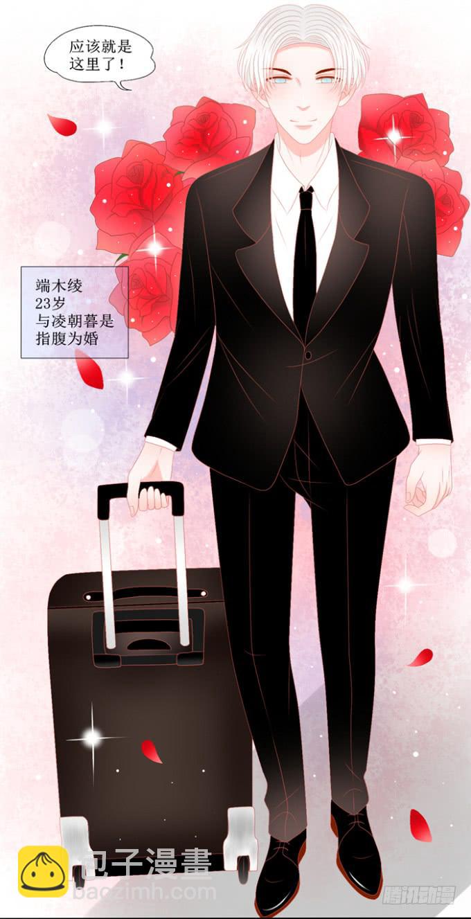 家里来了未婚夫3