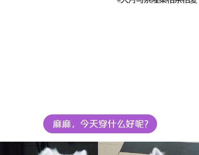第19期 上墙 | 我家宠物被我玩坏了！17