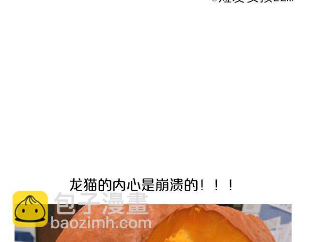 第13期 上墙 | 万圣节满分作业！31