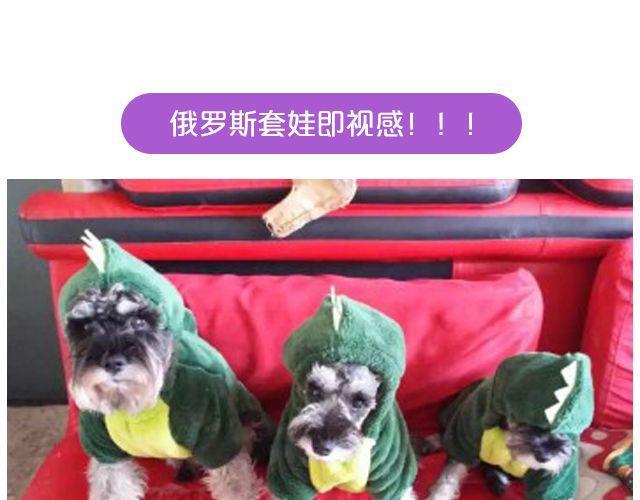 第19期 上墙 | 我家宠物被我玩坏了！28