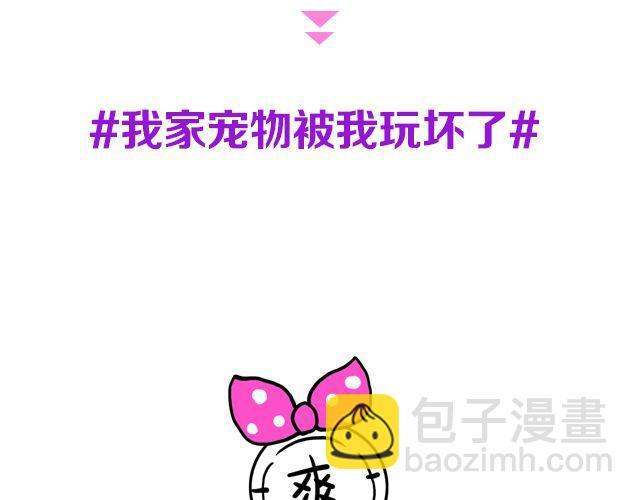 第19期 上墙 | 我家宠物被我玩坏了！1