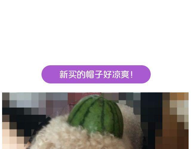 第19期 上墙 | 我家宠物被我玩坏了！19