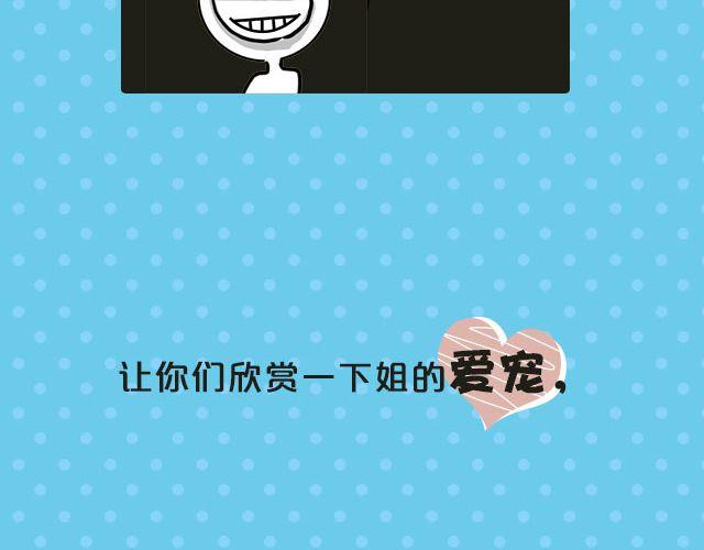 第19期 话题| 我家宠物被我玩坏了！3