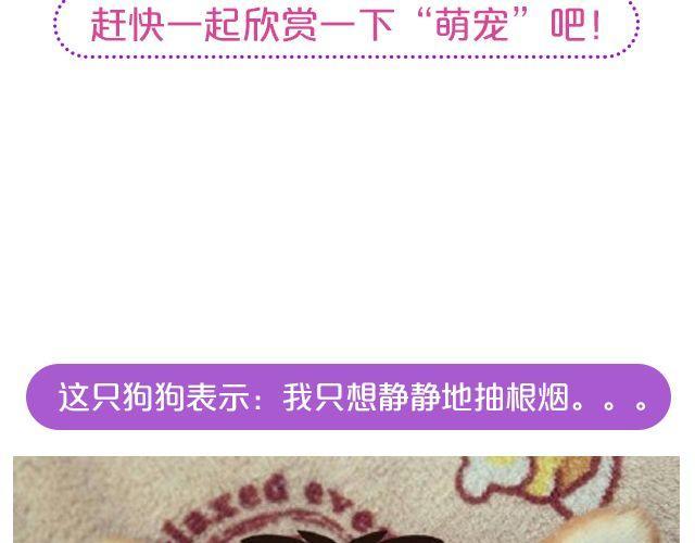 第19期 上墙 | 我家宠物被我玩坏了！3