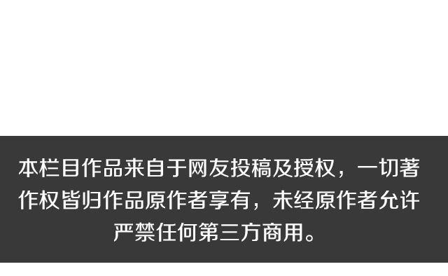 第14期 上墙 | 我爱当灯泡32
