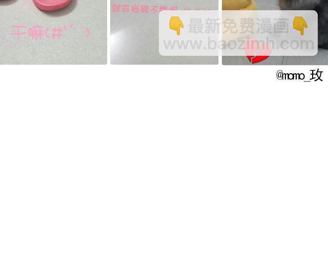 第19期 上墙 | 我家宠物被我玩坏了！11